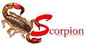 SCORPION DEVELOPMENT