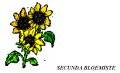 SECUNDA BLOEMISTE / FLORISTS