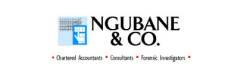 NGUBANE & CO CHARTERED ACCOUNTANTS