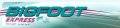 BIGFOOT EXPRESS FREIGHT (PTY) LTD