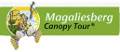 THE MAGALIESBERG CANOPY TOURS
