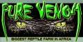 PURE VENOM REPTILE PARK