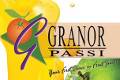 GRANOR PASSI (PTY) LTD