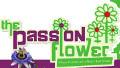 THE PASSION FLOWER FLORIST