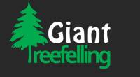 GIANT TREE FELLING CC