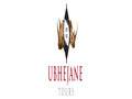 UBHEJANE TOURS (PTY) LTD