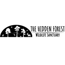 THE HIDDEN FOREST WILDLIFE SANTUARY